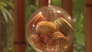 Cacao et Macarons, une chocolaterie se dévoile
