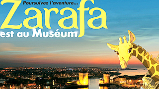 Zarafa fait son cinéma
